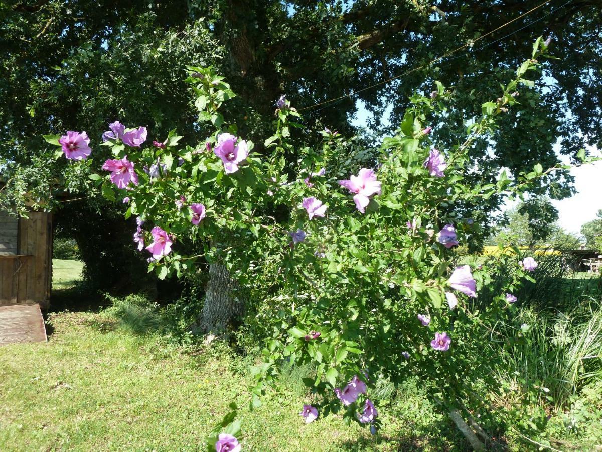 Gite Cosy Grand Confort Dans Un Ecrin De Verdure Agudelle Dış mekan fotoğraf